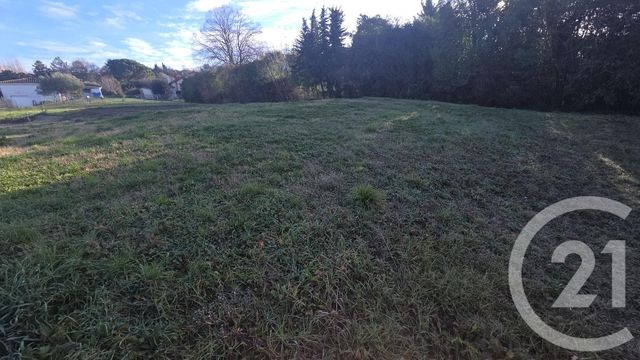 Terrain à vendre GRISOLLES